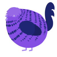 A blurple and navy chicken with a bar pattern