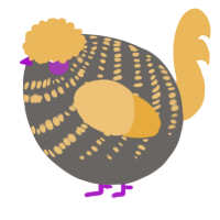 A grey and honey chicken with a bar pattern