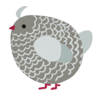 A ash and silver chicken with a lace pattern