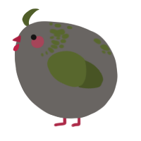 A grey and olive chicken with a neck-speckle pattern