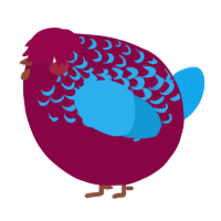 A maroon and sky chicken with a half-lace pattern