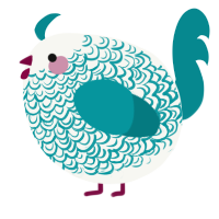 A white and teal chicken with a double-lace pattern