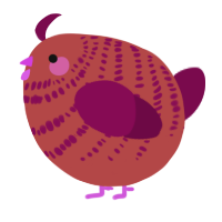 A red and wine chicken with a bar pattern