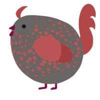 A grey and red chicken with a speckle pattern