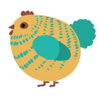 A honey and turquoise chicken with a bar pattern