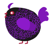 A sable and violet chicken with a double-lace pattern