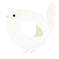 A white chicken with a double-lace pattern
