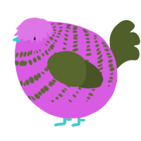 A orchid and olive chicken with a bar pattern