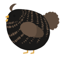 A sable and bark chicken with a bar pattern