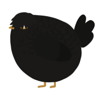 A sable and black chicken with a half-lace pattern