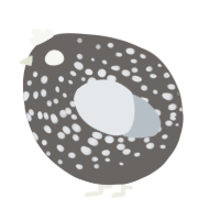 A grey and mist chicken with a speckle pattern