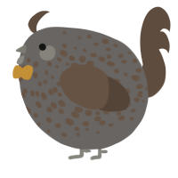 A grey and bark chicken with a speckle pattern