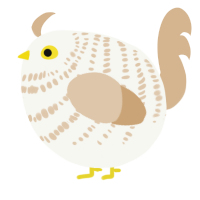 A white and beige chicken with a bar pattern