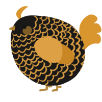 A sable and orange chicken with a lace pattern