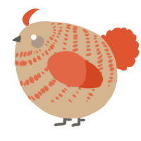 A beige and vermilion chicken with a bar pattern