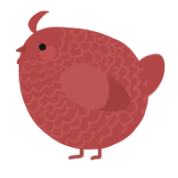 A red chicken with a lace pattern