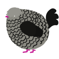 A ash and black chicken with a lace pattern