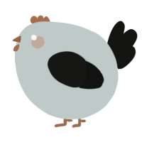 A silver and black chicken