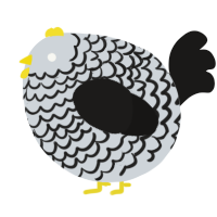 A mist and sable chicken with a lace pattern