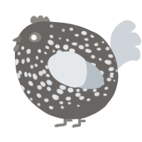A grey and mist chicken with a speckle pattern