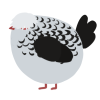 A mist and sable chicken with a half-lace pattern