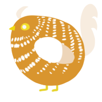 A orange and cream chicken with a bar pattern