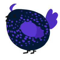 A tumblr and indigo chicken with a speckle pattern