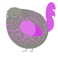 A ash and orchid chicken with a speckle pattern