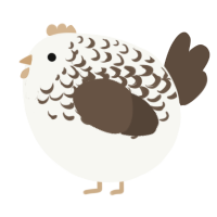 A white and bark chicken with a half-lace pattern