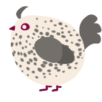 A cream and grey chicken with a speckle pattern