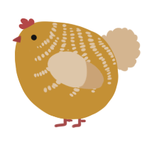 A gold and beige chicken with a half-bar pattern