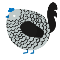 A silver and sable chicken with a lace pattern