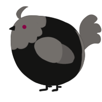 A black and grey chicken with a head pattern