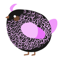 A sable and lavender chicken with a double-lace pattern