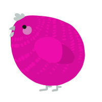 A fuchsia chicken with a bar pattern