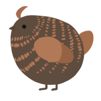 A bark and brown chicken with a bar pattern