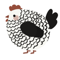 A white and sable chicken with a lace pattern