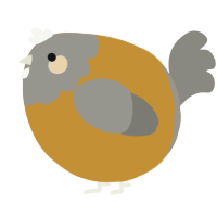 A gold and ash chicken with a head pattern