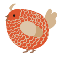 A vermilion and beige chicken with a lace pattern
