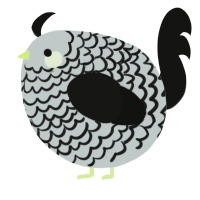 A silver and black chicken with a lace pattern