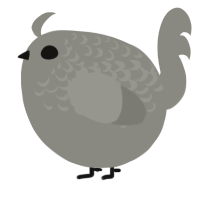 A ash chicken with a half-lace pattern