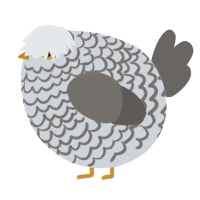 A mist and grey chicken with a lace pattern