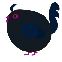A sable and tumblr chicken with a lace pattern