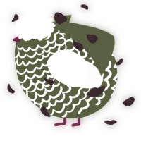 A olive and cream chicken with a lace pattern