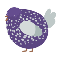 A overcast and silver chicken with a speckle pattern