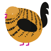 A orange and black chicken with a bar pattern