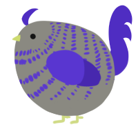 A ash and indigo chicken with a bar pattern