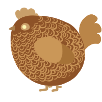 A fuchsia and vermilion chicken with a double-lace pattern