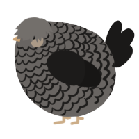 A grey and sable chicken with a lace pattern