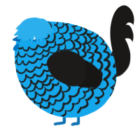A sky and sable chicken with a lace pattern